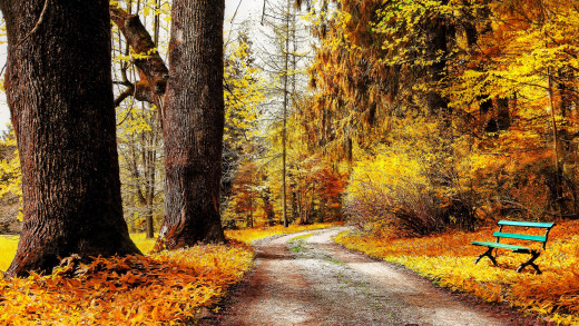 1753629 (a): :3000x1687